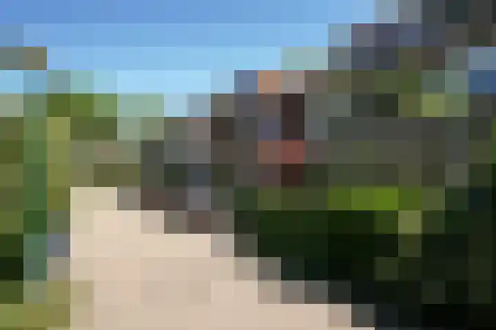 Kruiskruidlaan 58 Baarn thumbnail 47