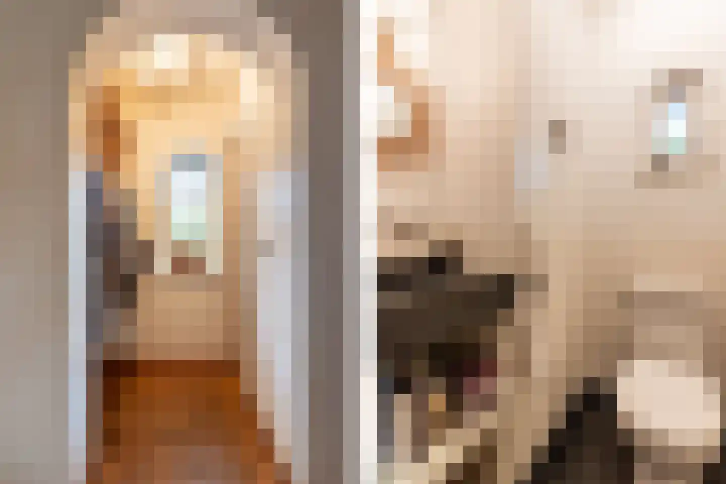 Kruislaan 1 a Oostvoorne thumbnail 12