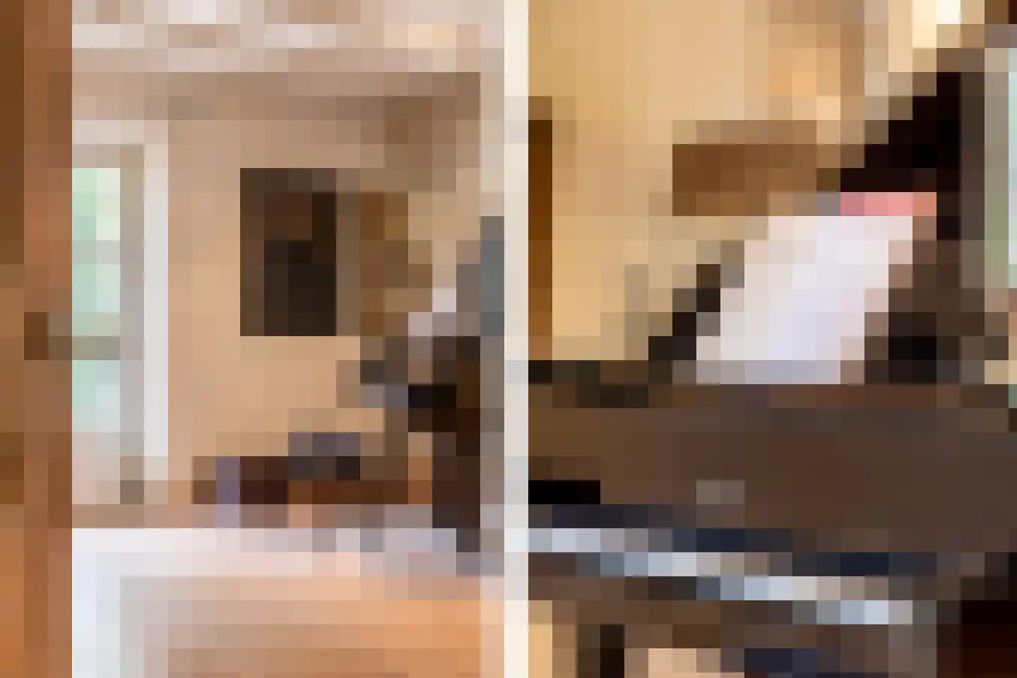 Kruislaan 1 a Oostvoorne thumbnail 13