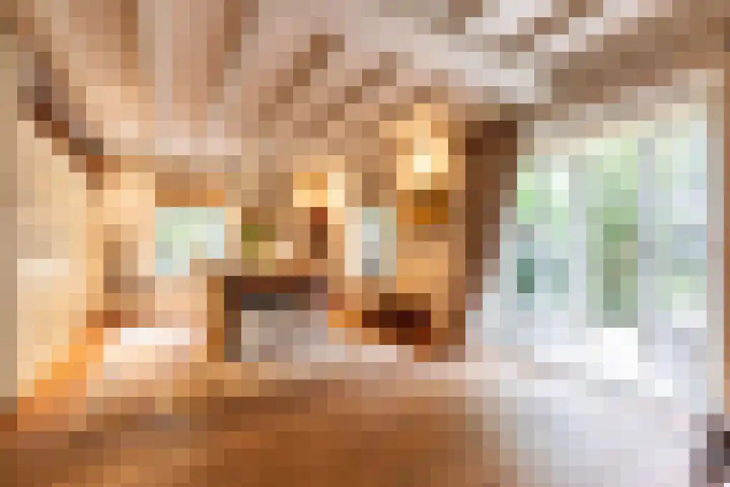 Kruislaan 1 a Oostvoorne thumbnail 18