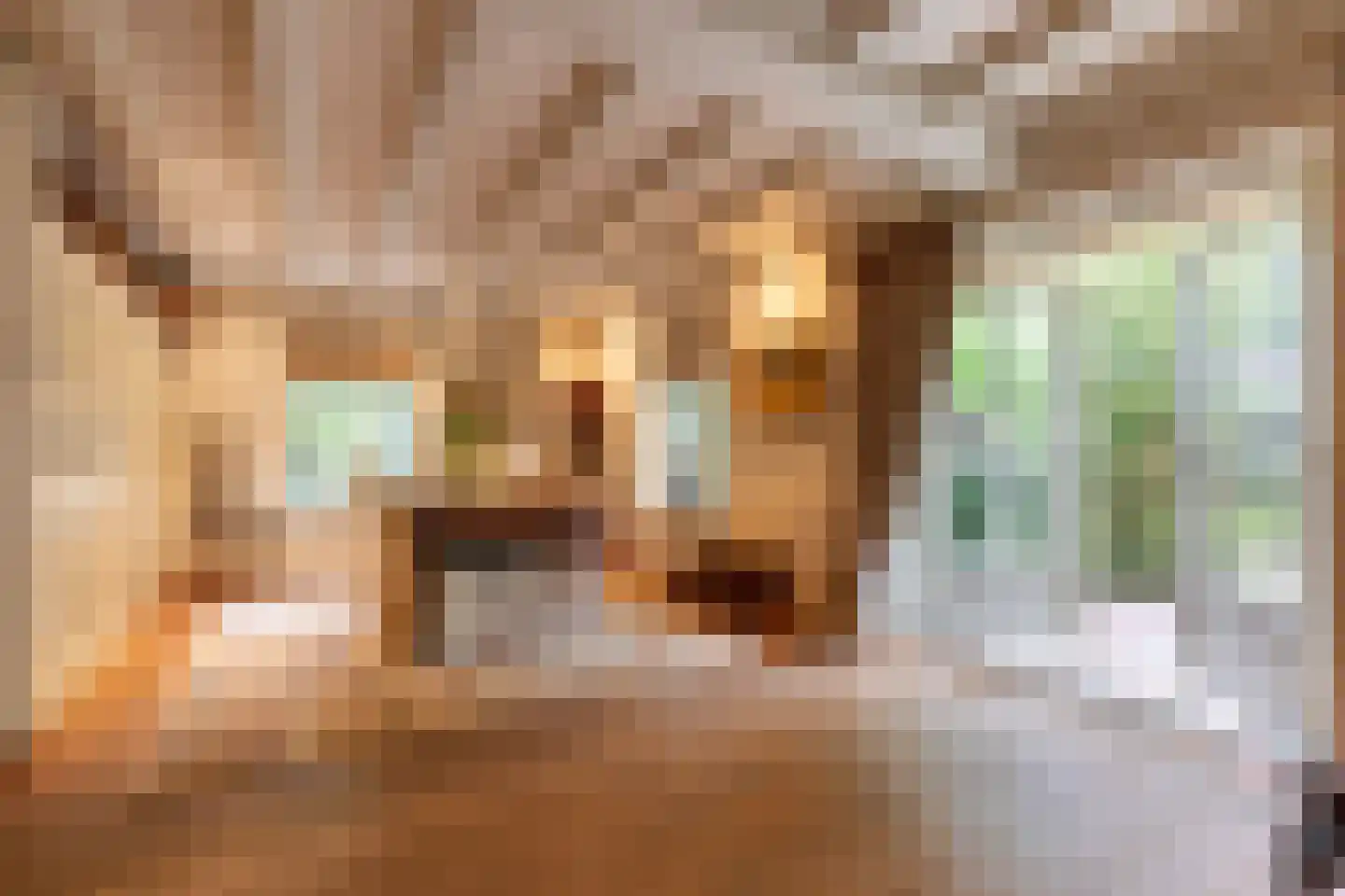 Kruislaan 1 a Oostvoorne thumbnail 19