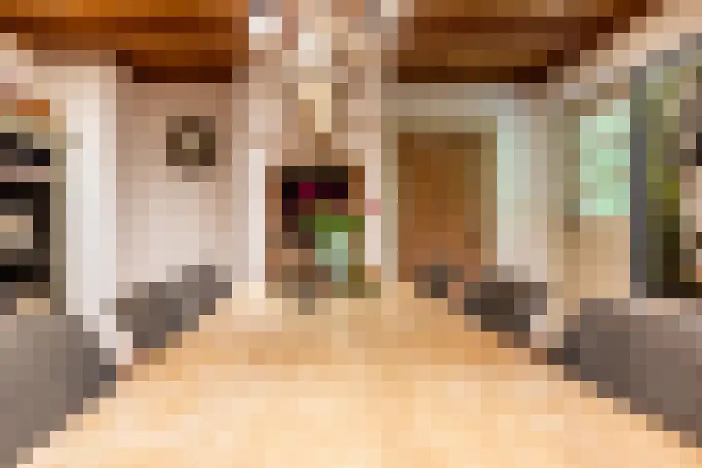 Kruislaan 1 a Oostvoorne thumbnail 27