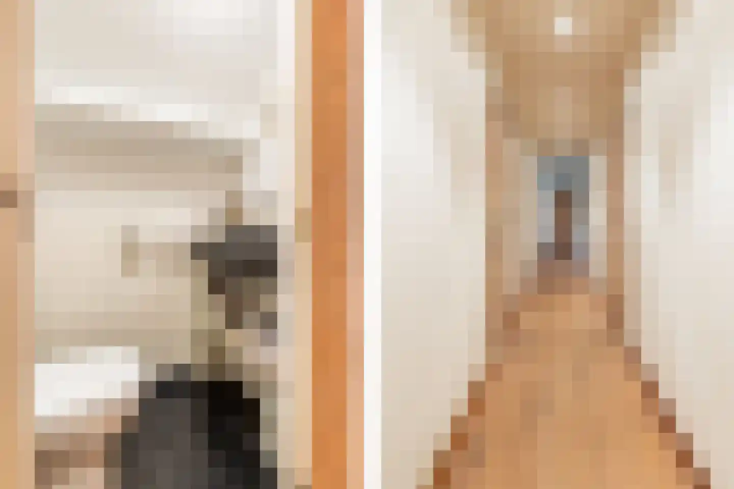 Kruislaan 1 a Oostvoorne thumbnail 33