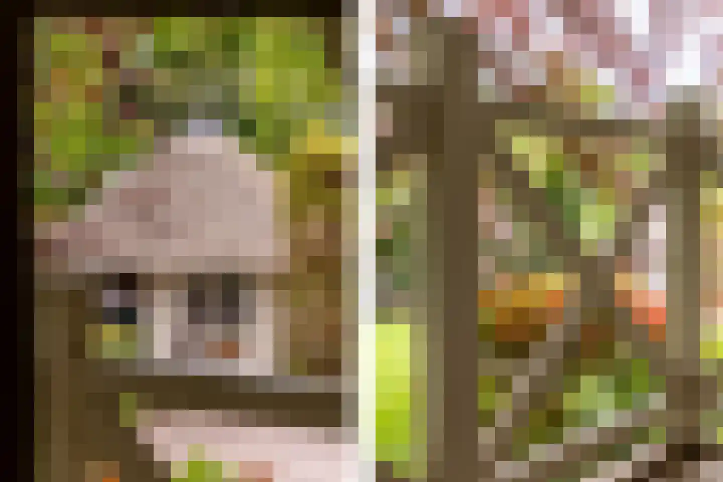 Kruislaan 1 a Oostvoorne thumbnail 47