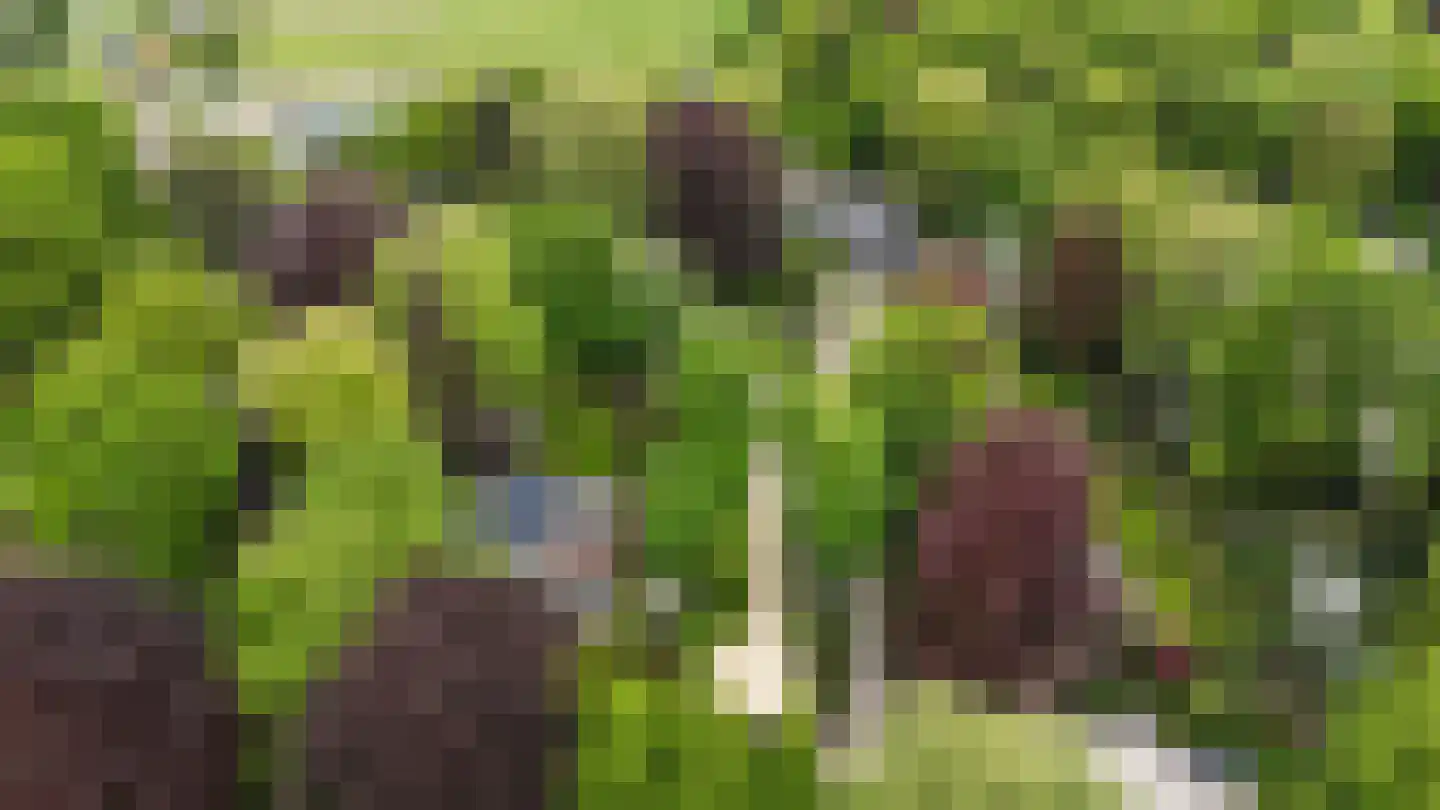 Kruislaan 1 a Oostvoorne thumbnail 5