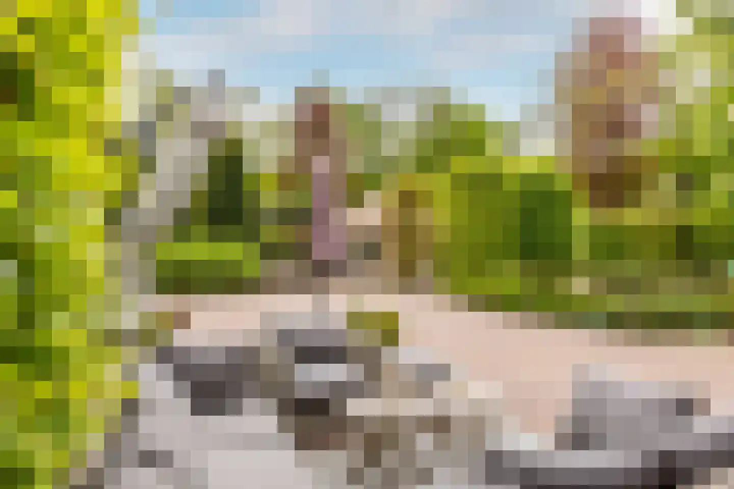 Kruislaan 1 a Oostvoorne thumbnail 51