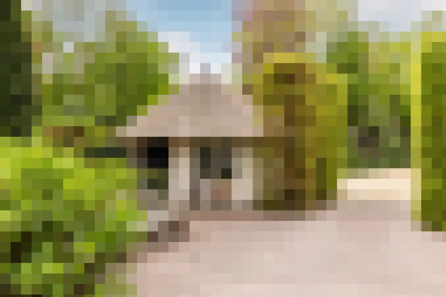 Kruislaan 1 a Oostvoorne thumbnail 52