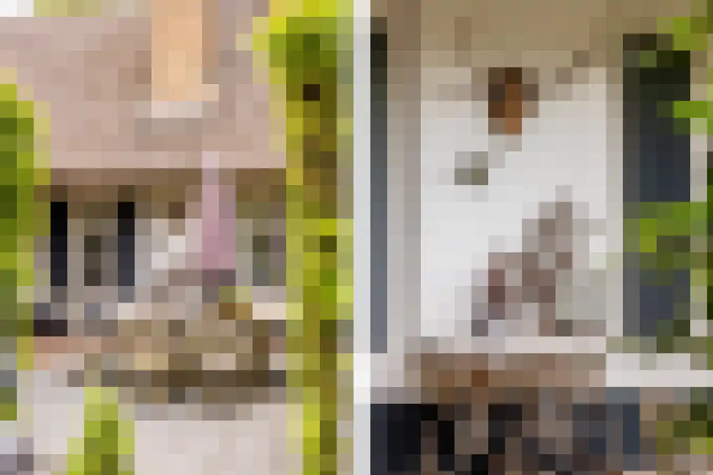 Kruislaan 1 a Oostvoorne thumbnail 57