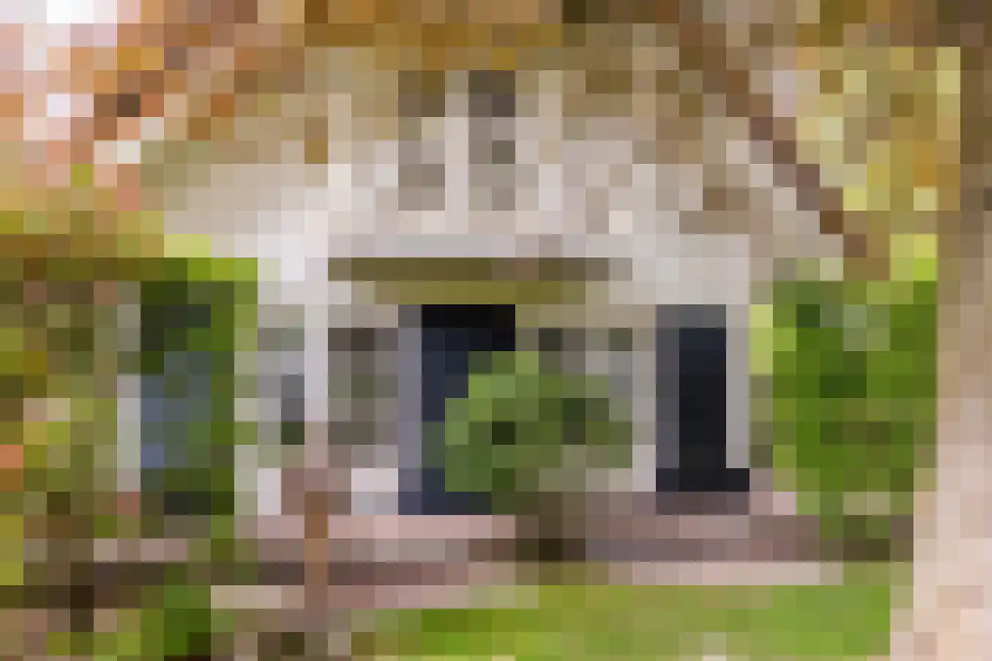 Kruislaan 1 a Oostvoorne thumbnail 59