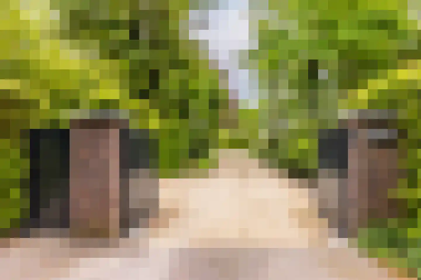 Kruislaan 1 a Oostvoorne thumbnail 6