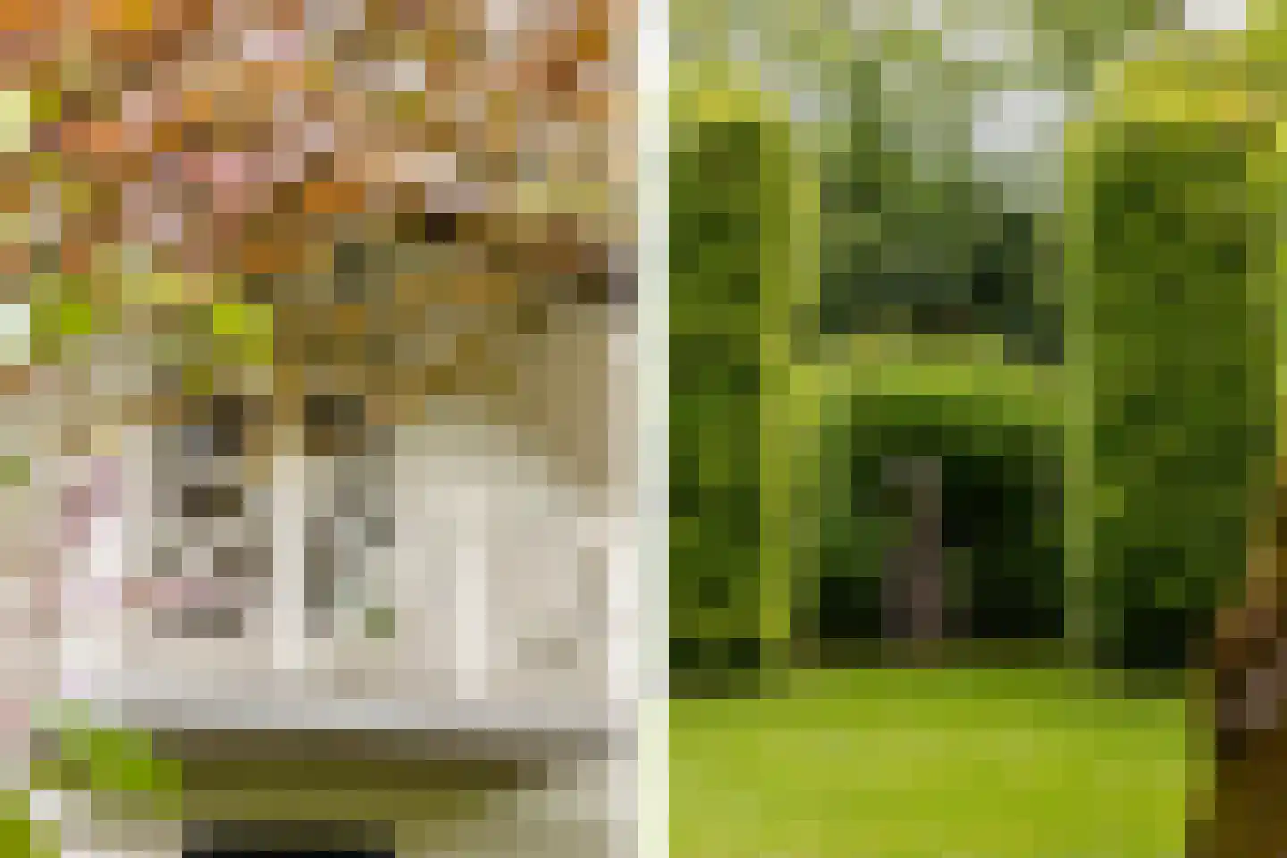 Kruislaan 1 a Oostvoorne thumbnail 60