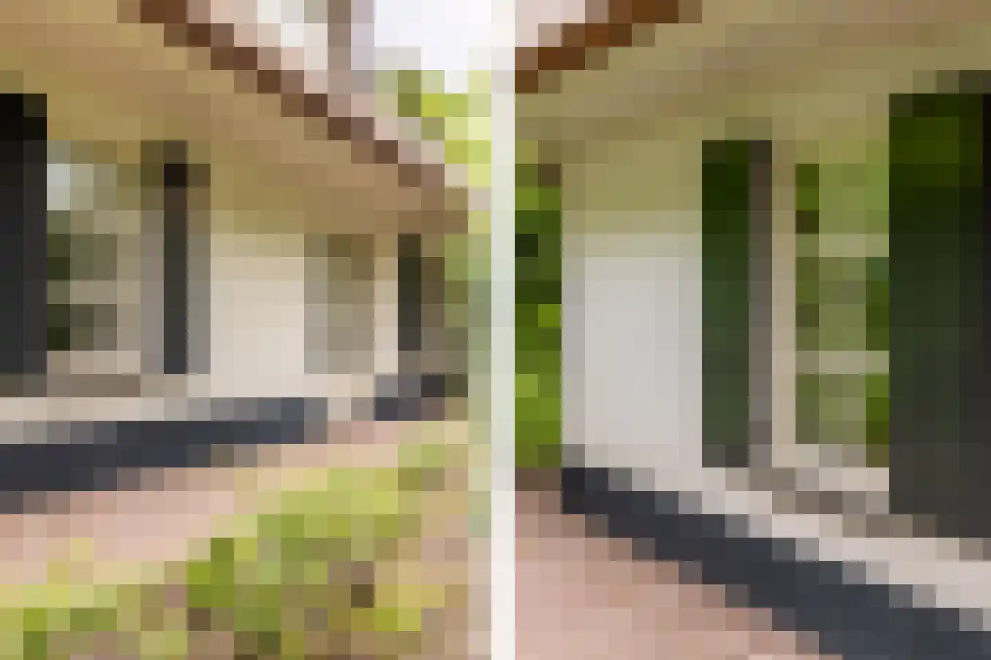 Kruislaan 1 a Oostvoorne thumbnail 62