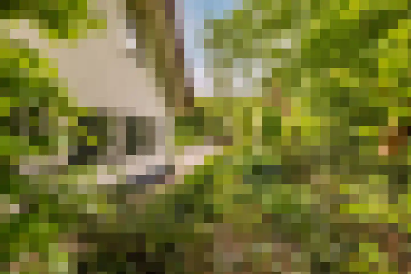 Kruislaan 1 a Oostvoorne thumbnail 68
