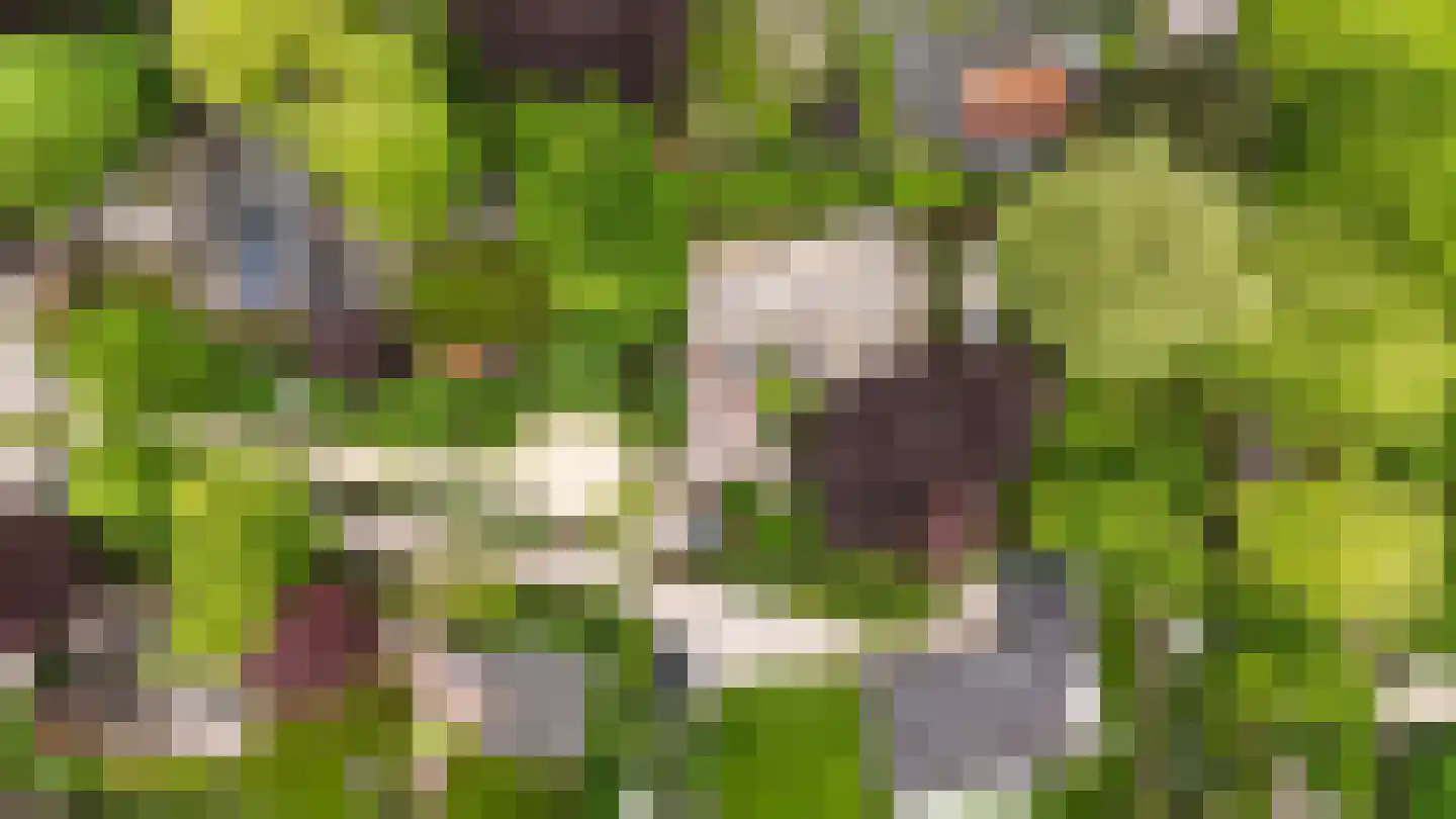 Kruislaan 1 a Oostvoorne thumbnail 69