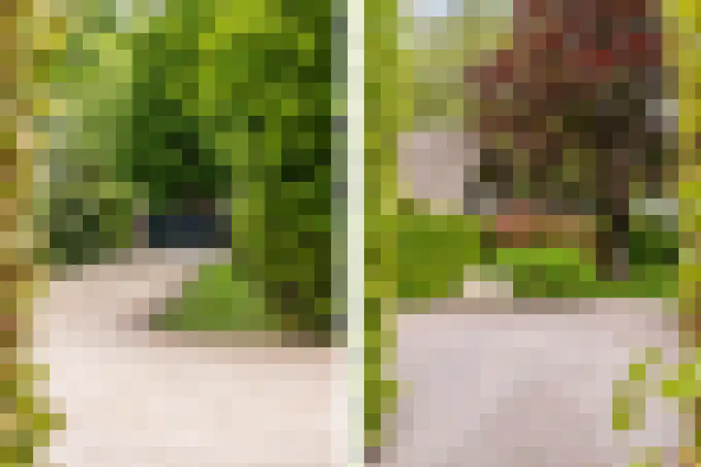 Kruislaan 1 a Oostvoorne thumbnail 8