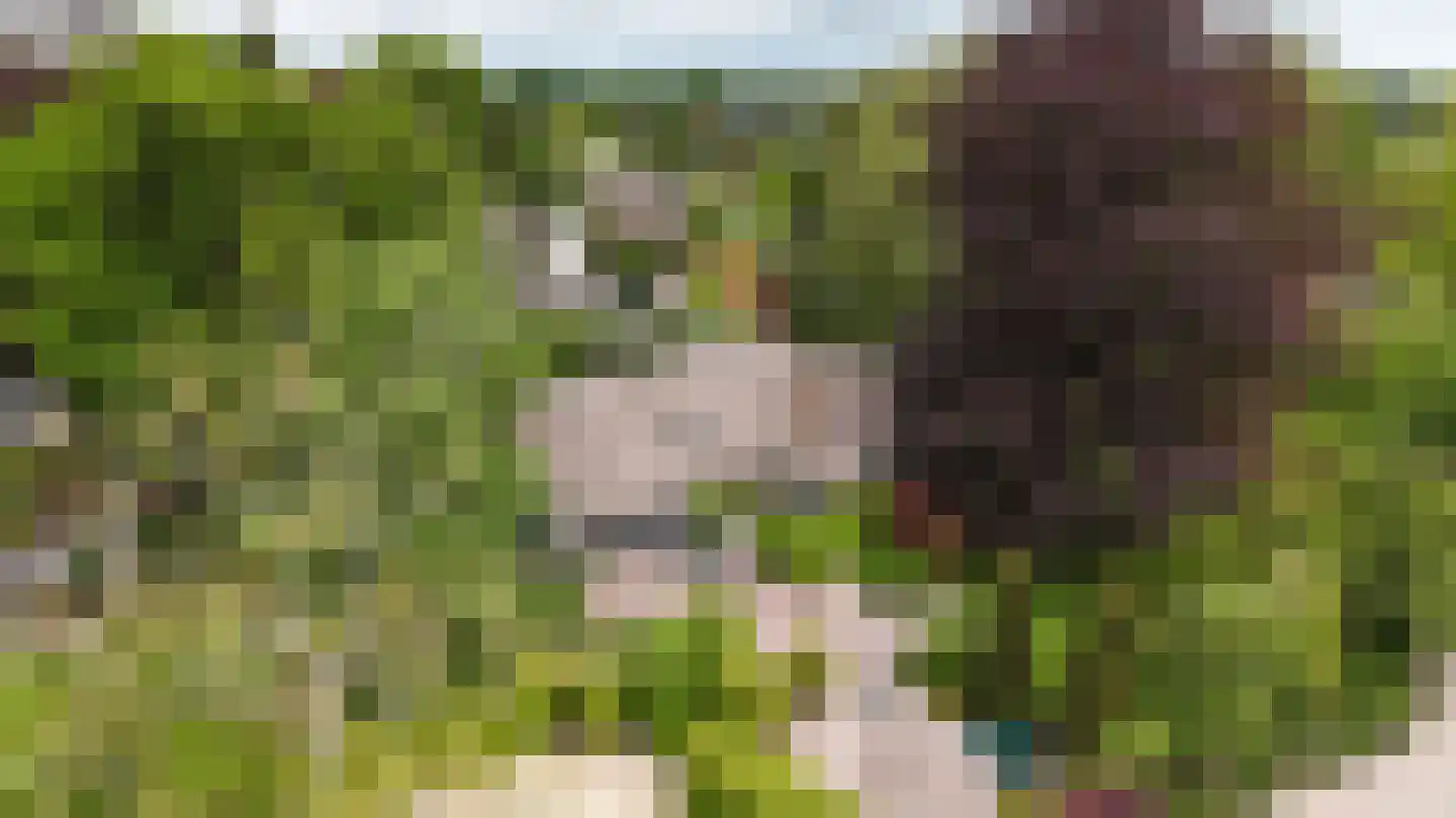 Kruislaan 1 a Oostvoorne thumbnail 9