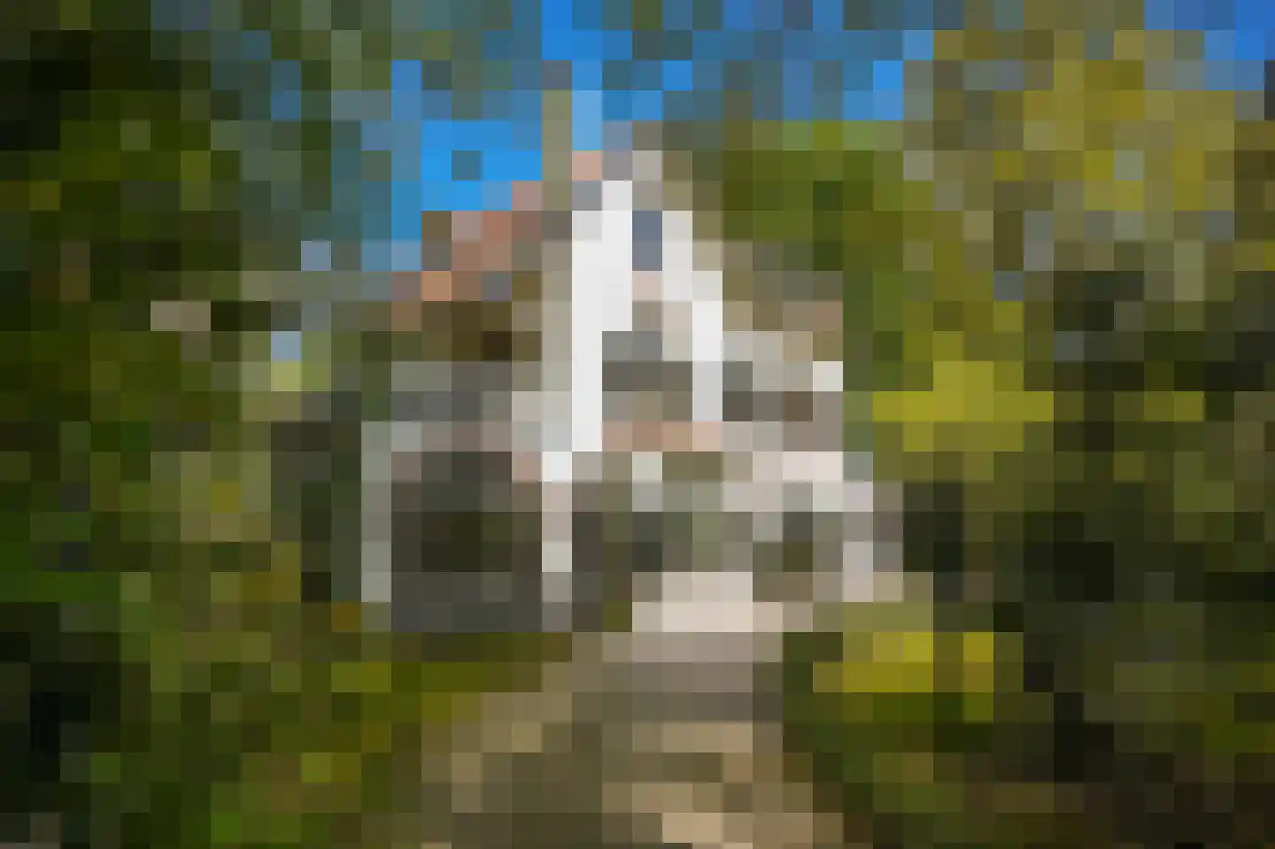 Kruislaan 12 Bilthoven foto 2