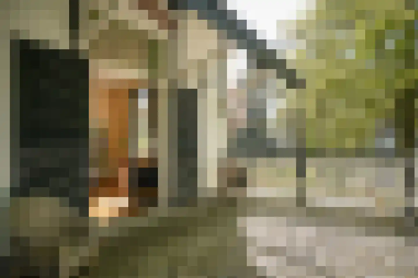 Kruislaan 12 Bilthoven thumbnail 39