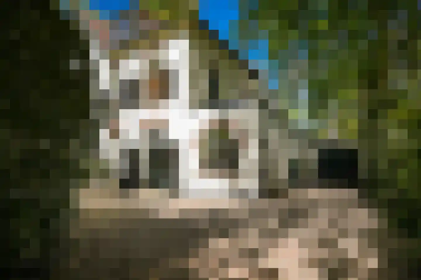 Kruislaan 12 Bilthoven thumbnail 44