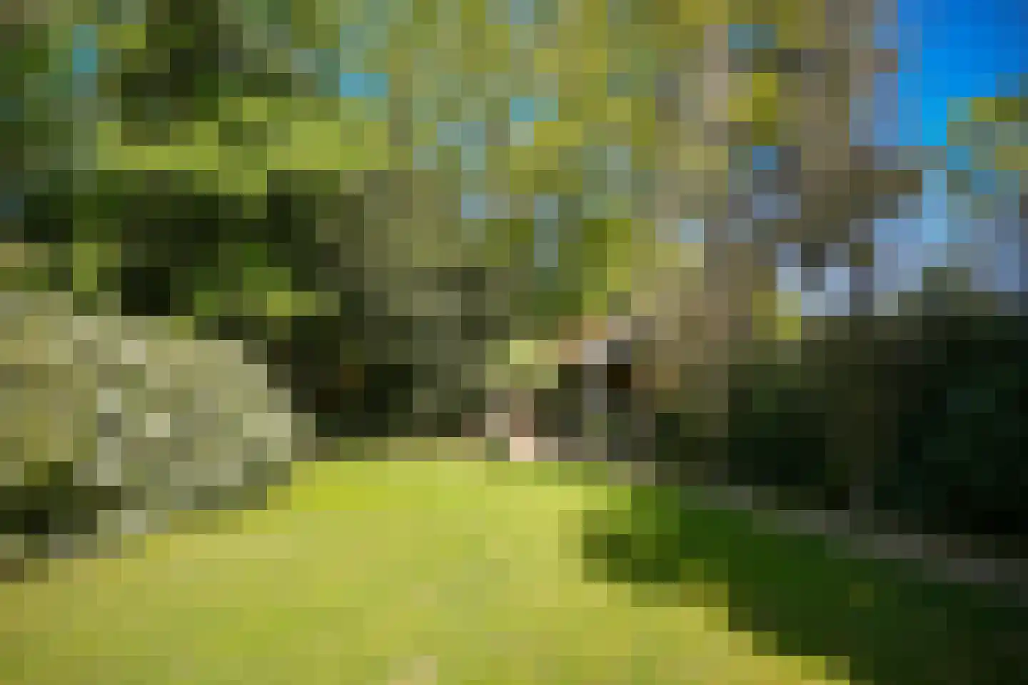 Kruislaan 12 Bilthoven thumbnail 50