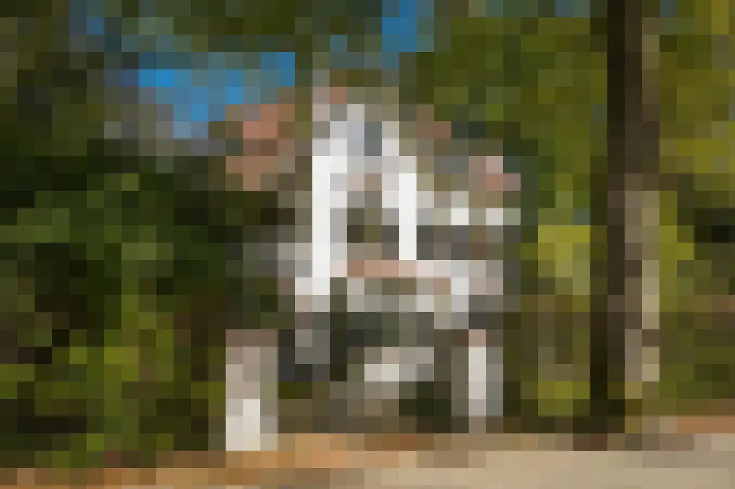 Kruislaan 12 Bilthoven thumbnail 57