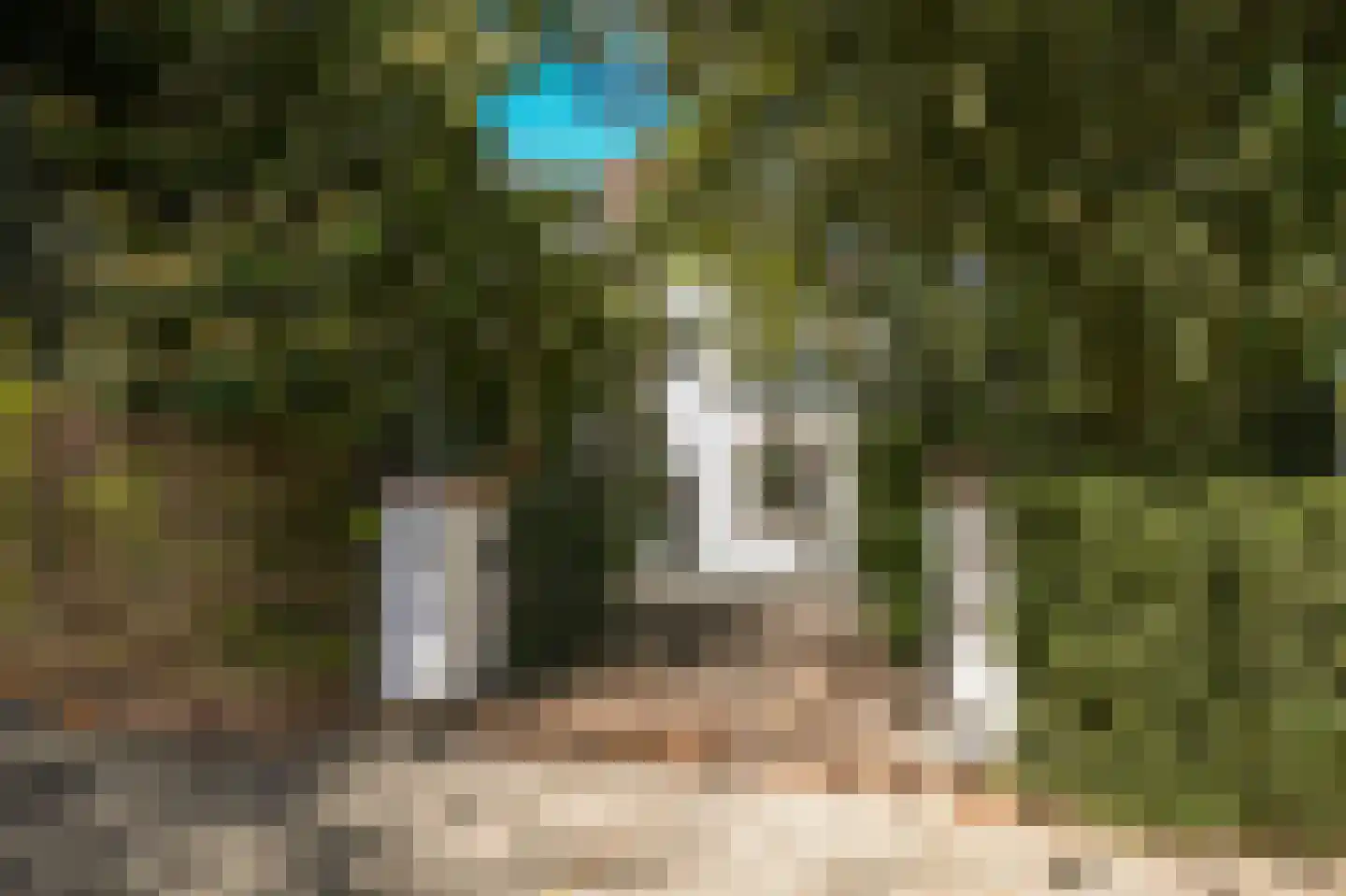 Kruislaan 12 Bilthoven thumbnail 59