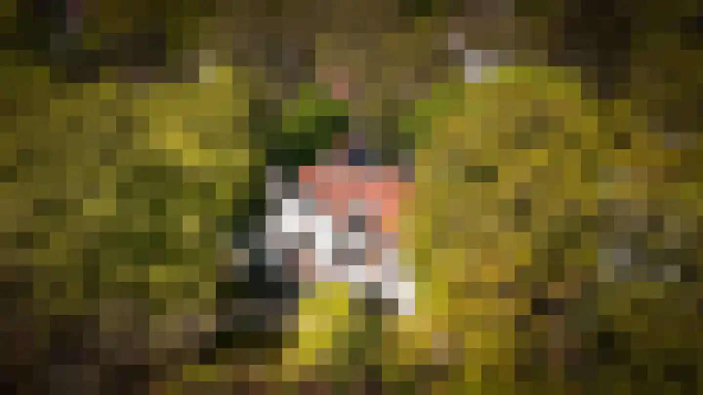 Kruislaan 12 Bilthoven thumbnail 60