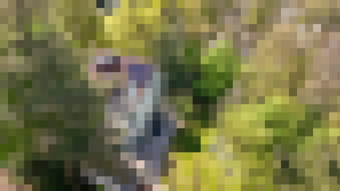 Kruislaan 12 Bilthoven thumbnail 61