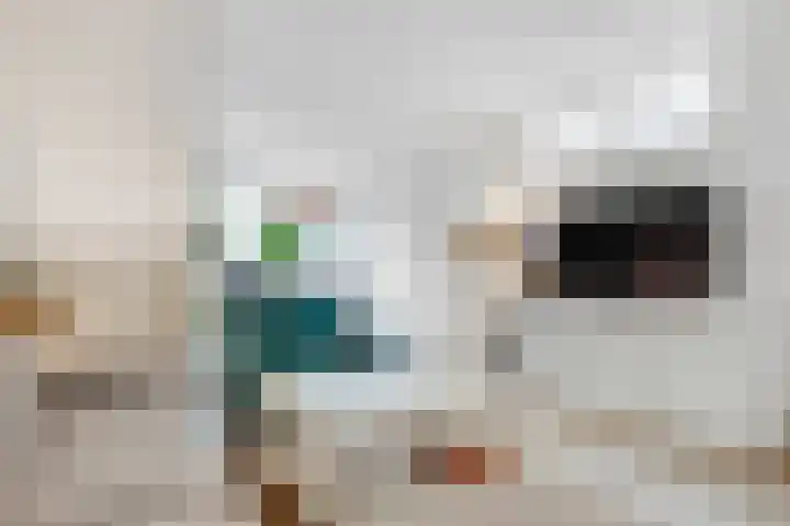 Kruislaan 16 Bussum thumbnail 11
