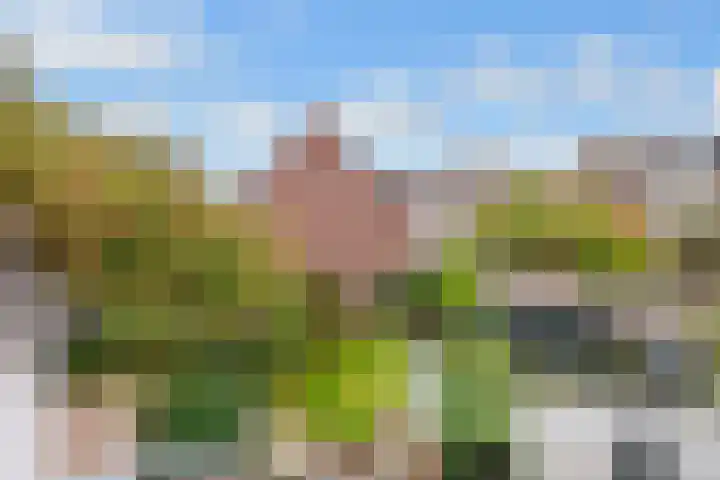 Kruislaan 16 Bussum thumbnail 28