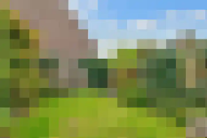 Kruislaan 16 Bussum thumbnail 31