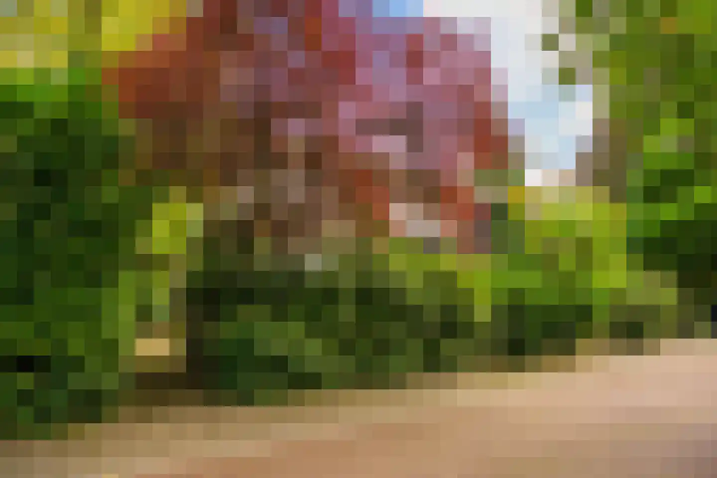 Kruislaan 2 Bilthoven thumbnail 10