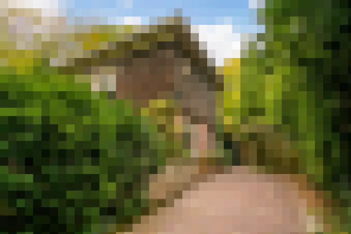 Kruislaan 2 Bilthoven thumbnail 11