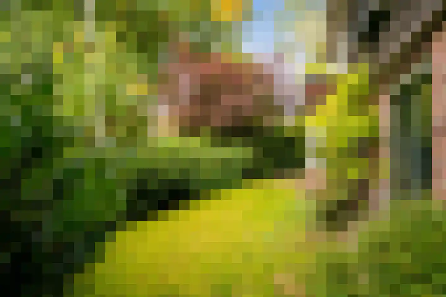 Kruislaan 2 Bilthoven thumbnail 14