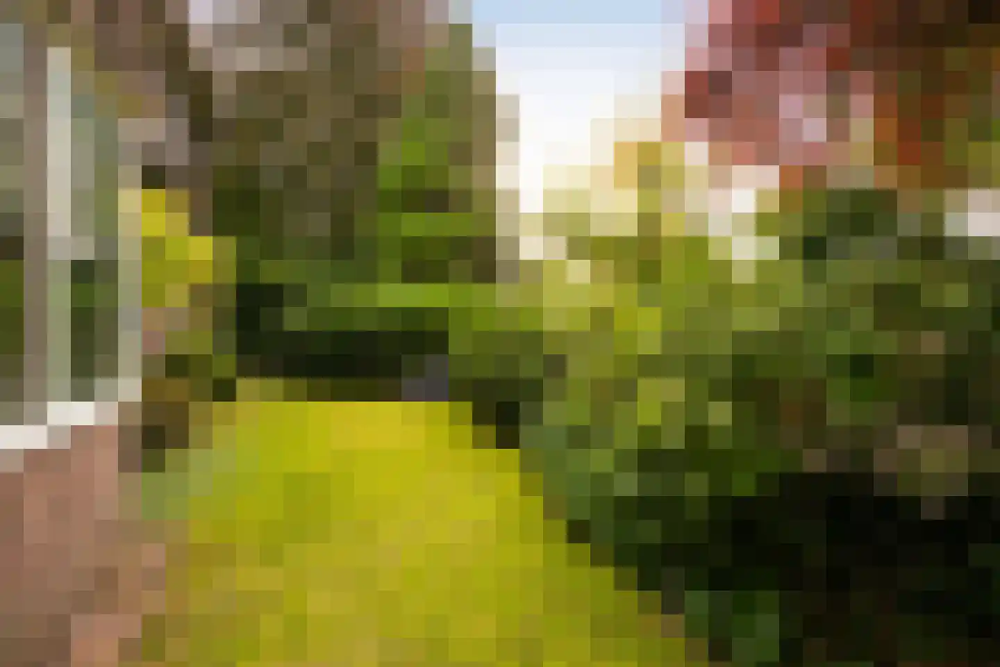 Kruislaan 2 Bilthoven thumbnail 15