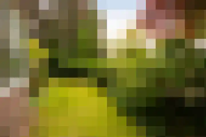 Kruislaan 2 Bilthoven thumbnail 15