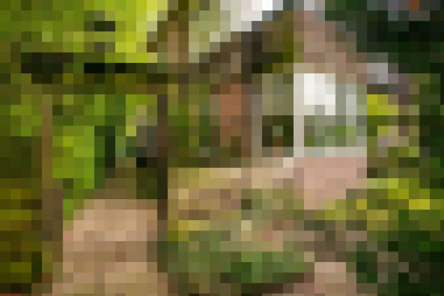 Kruislaan 2 Bilthoven thumbnail 16