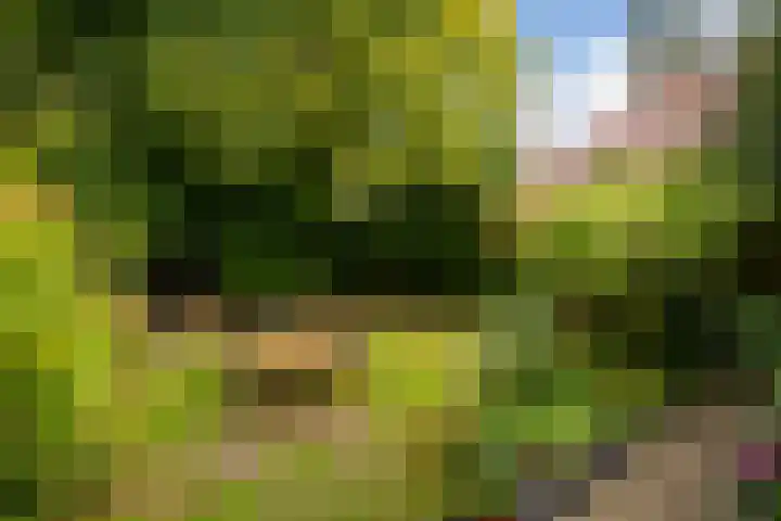 Kruislaan 2 Bilthoven thumbnail 18