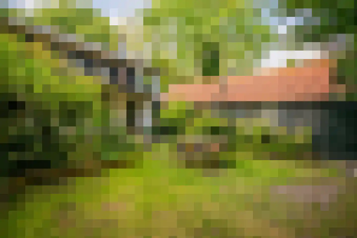 Kruislaan 2 Bilthoven thumbnail 20