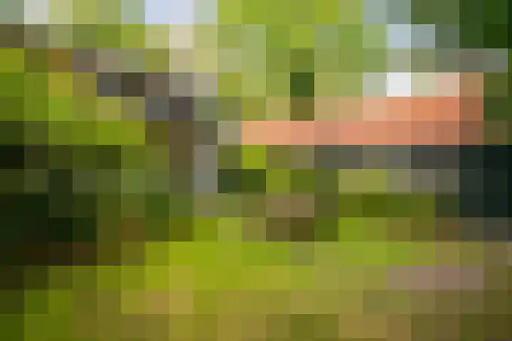 Kruislaan 2 Bilthoven thumbnail 20
