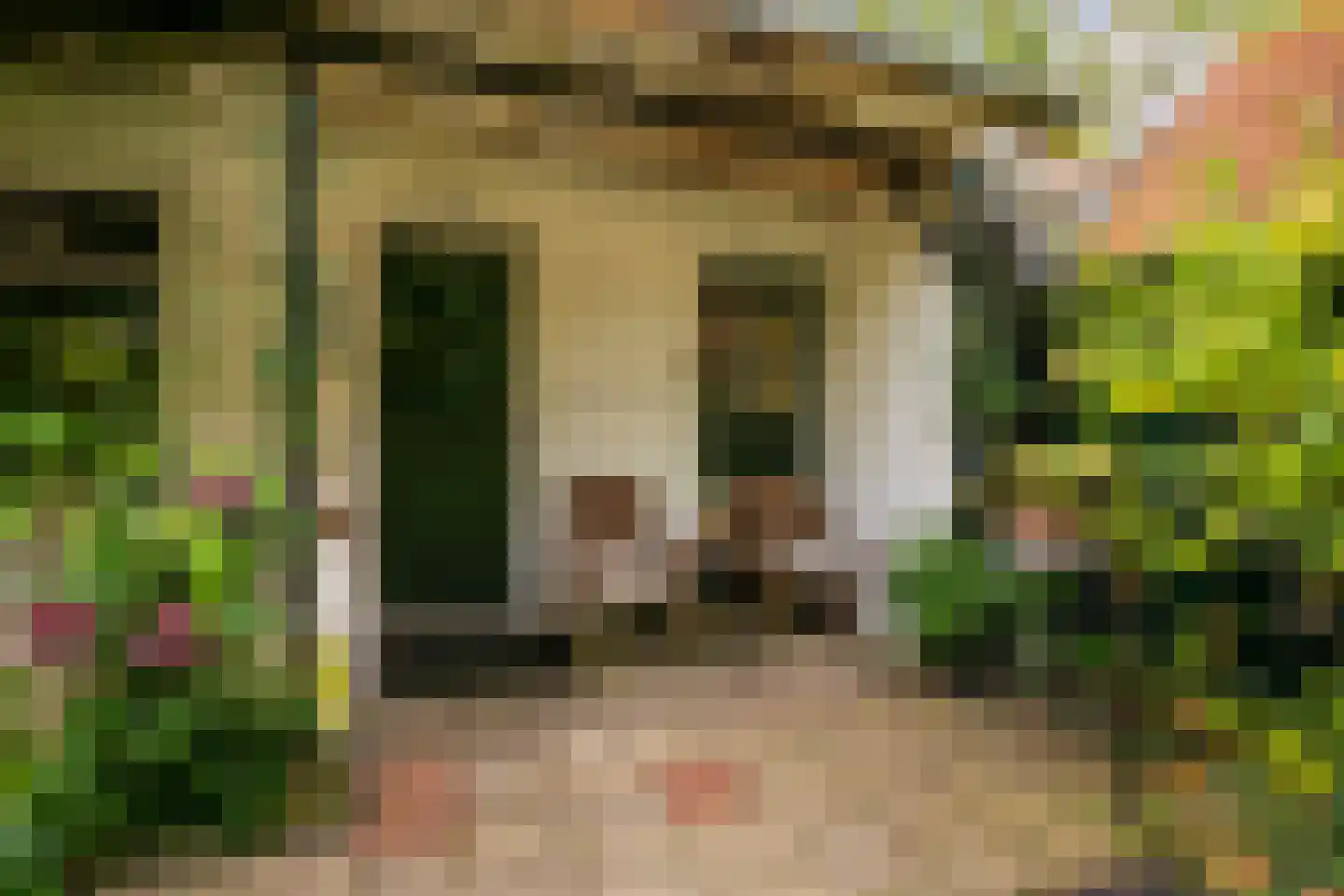 Kruislaan 2 Bilthoven thumbnail 21