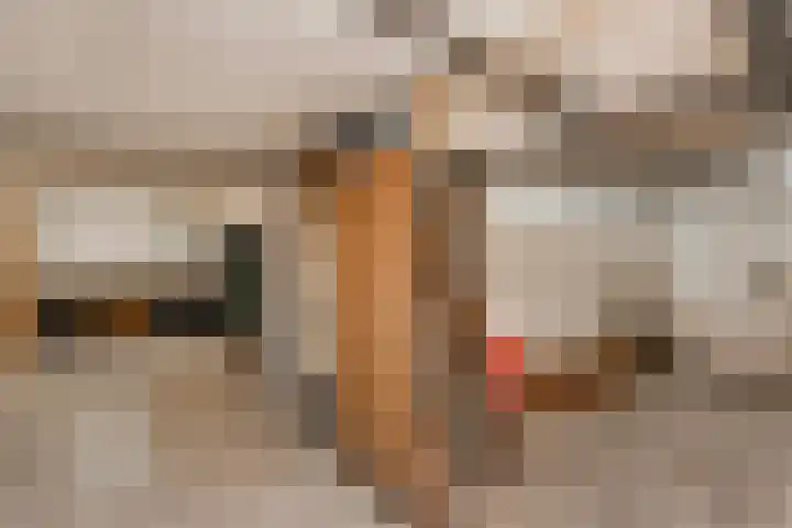 Kruislaan 2 Bilthoven thumbnail 69