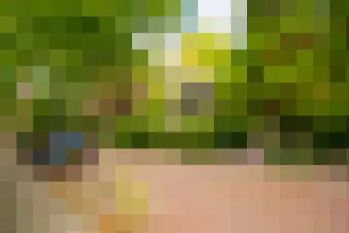 Kruislaan 2 Bilthoven thumbnail 7