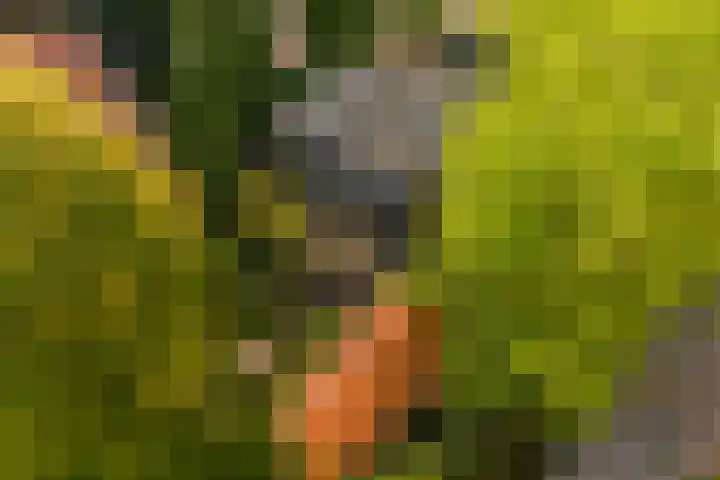 Kruislaan 2 Bilthoven thumbnail 75