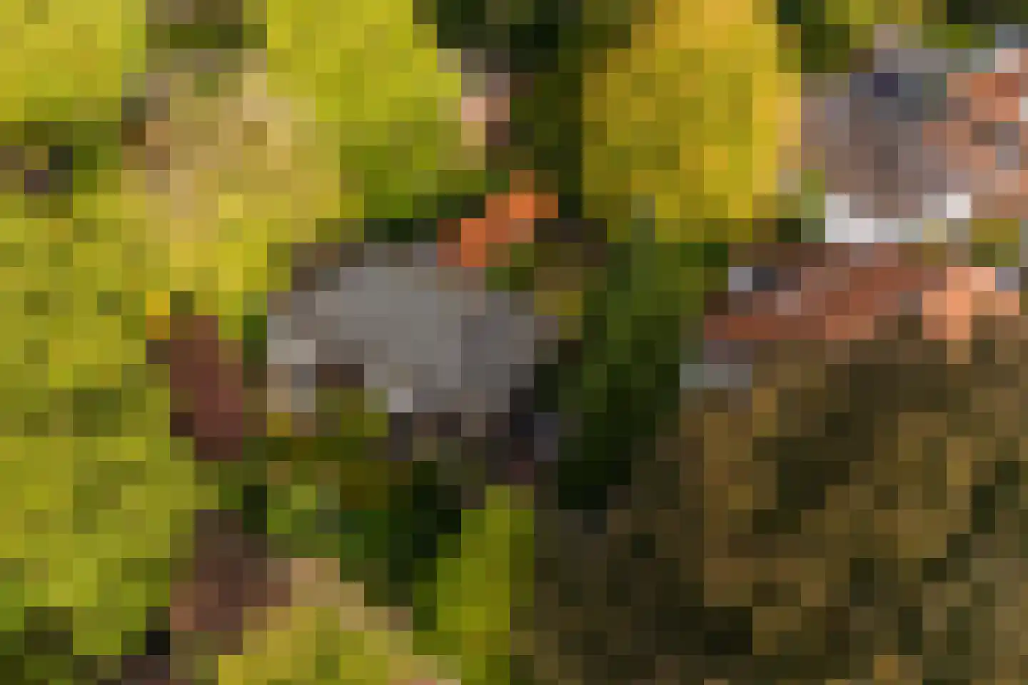 Kruislaan 2 Bilthoven thumbnail 76