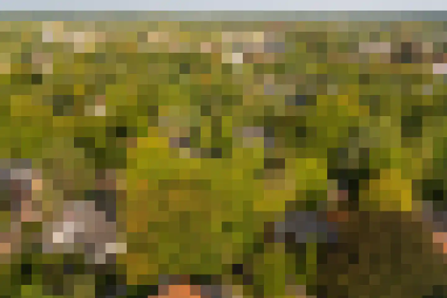 Kruislaan 2 Bilthoven thumbnail 79