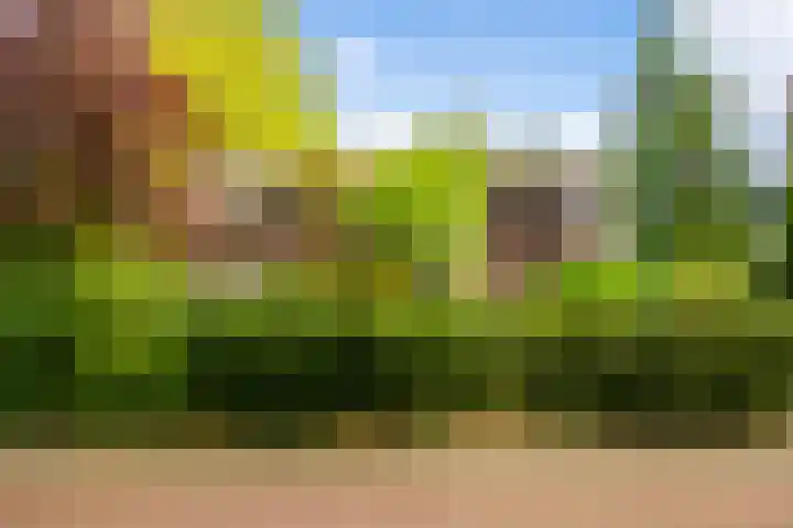 Kruislaan 2 Bilthoven thumbnail 9