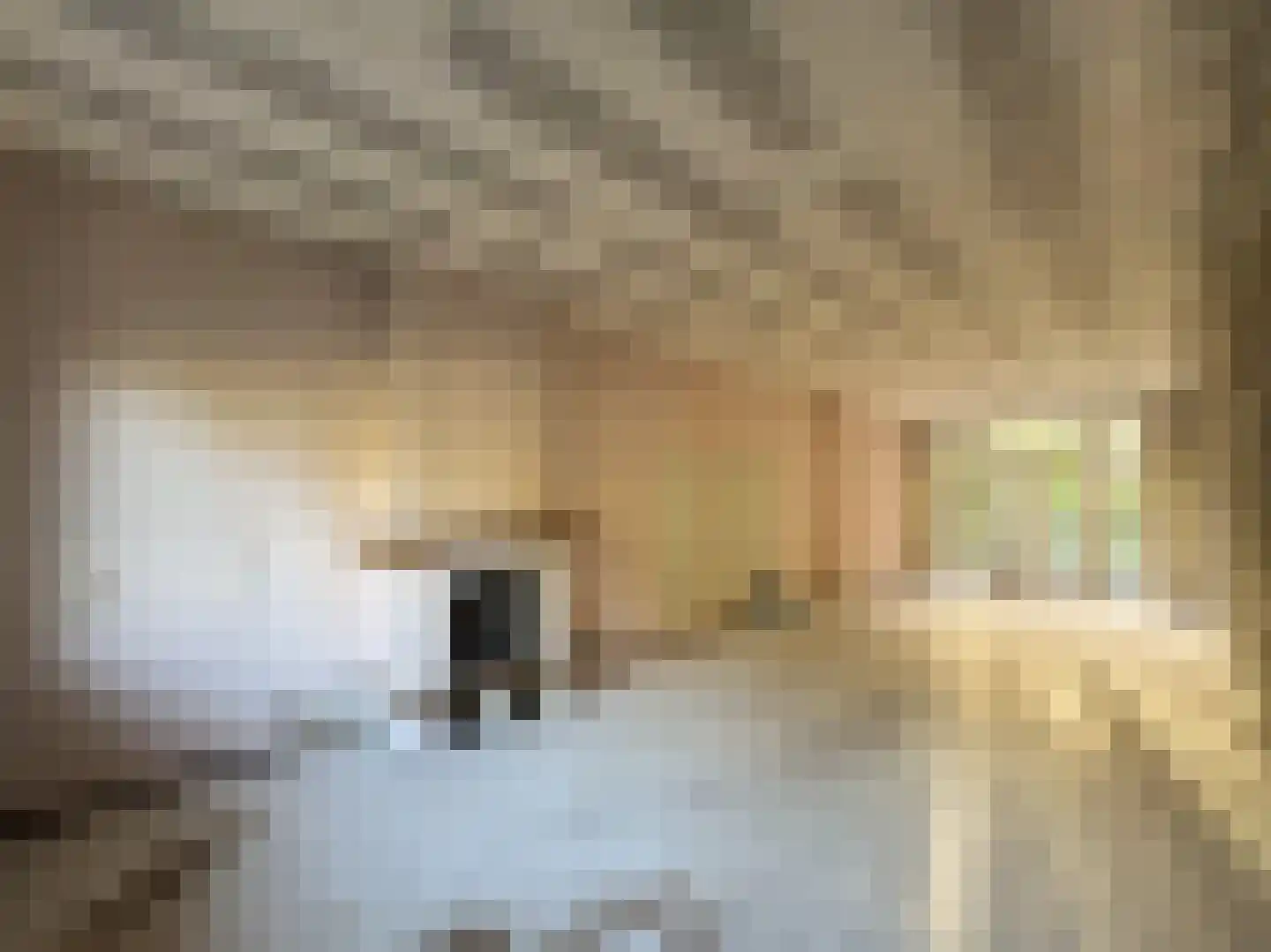 Kruislaan 216 Amsterdam thumbnail 5