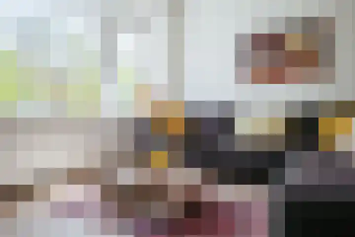 Kruislaan 253 Amsterdam thumbnail 11