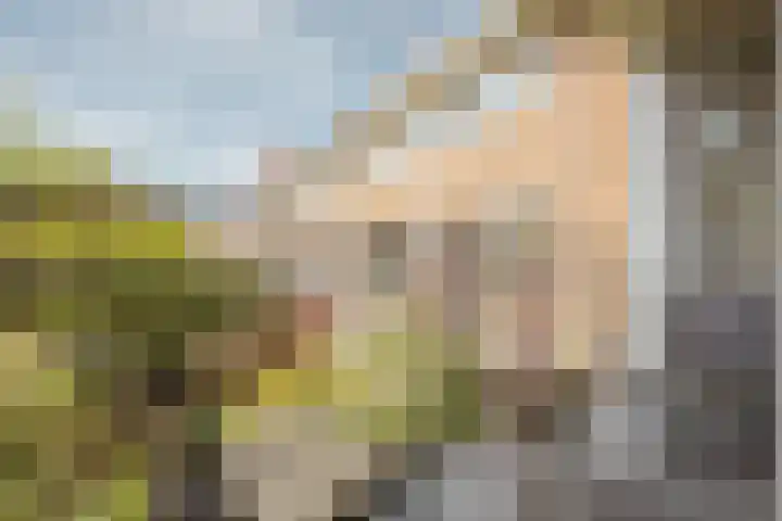 Kruislaan 253 Amsterdam thumbnail 13
